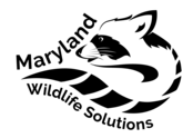 Maryland Wildlife Solutions logo